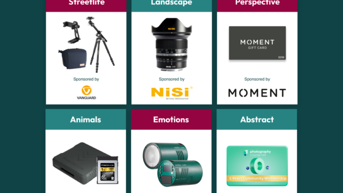 Frame-1004-1795x3000-1