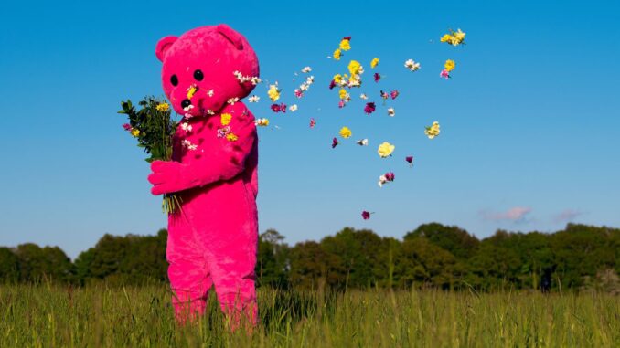 the-pink-bear-luap-featured