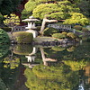 Sample photo