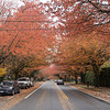 Sample photo