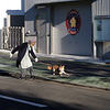 Sample photo