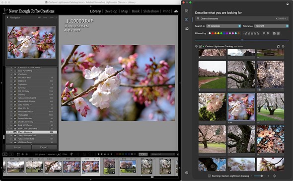 peakto-search-collection-results