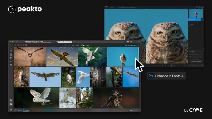 Peakto-AI-Brings-Advanced-Photo-Management-to-Topaz-AI