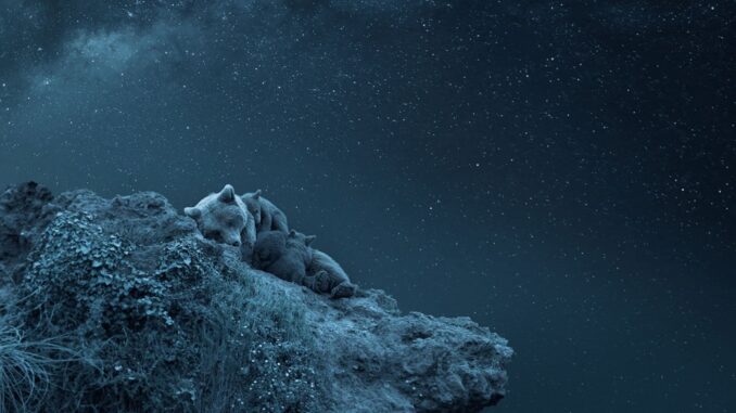 siena-creative-2024-lurdes-santander-overall-winner-featured