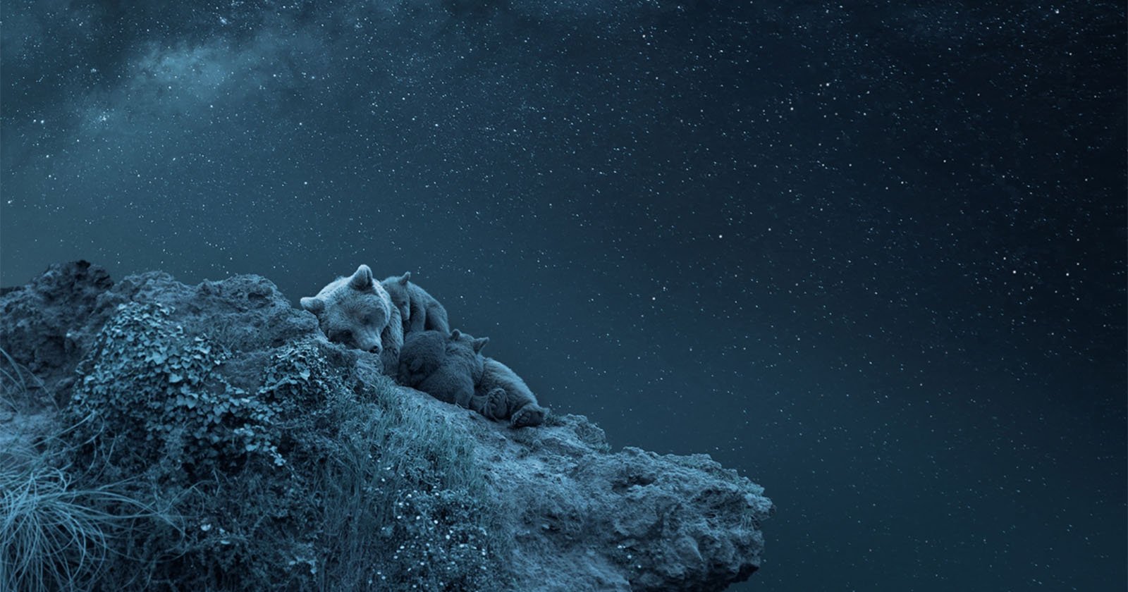 A mother bear and her three cubs are sleeping on a rocky cliff under a starry night sky. The scene is serene and illuminated by moonlight, with the vast expanse of stars providing a beautiful backdrop. A few plants and patches of grass are visible on the cliff.  .