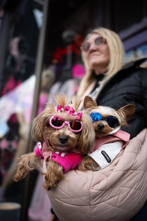 Portrait by South Street Sam - woman with dogs wearing sunglasses