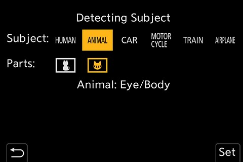 Subject Detect