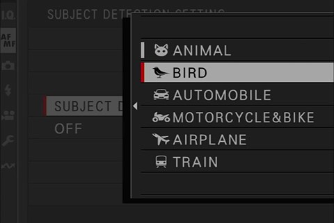 Autofocus Options