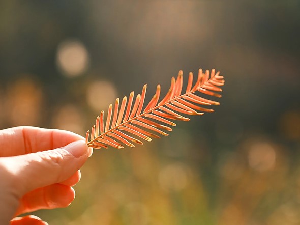 Viltrox-35mm-f1.7-example-photo