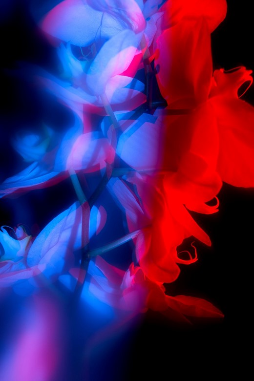 1-3198-2024-POTY-William Josephs Radford-josephsradford