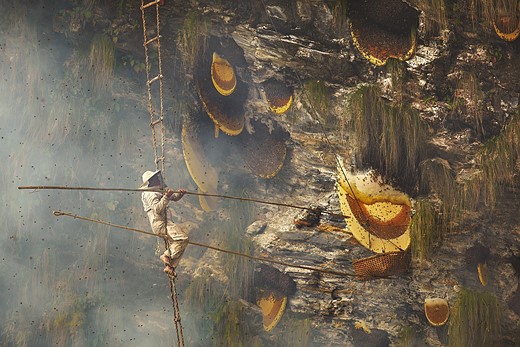 3258-2024-POTY-Andrew Newey-andrewnewey