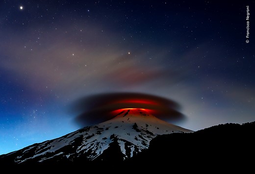 Francisco-Negroni -Wildlife-Photographer-of-the-Year