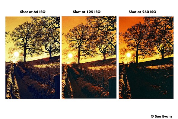 harman-red-125-iso-comparison
