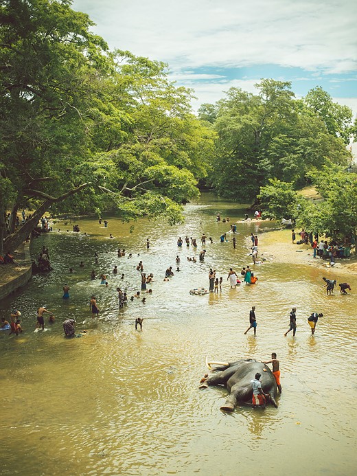 Elizabeth Brown Baptism FF2025Winner-1-Elizabeth-Brown