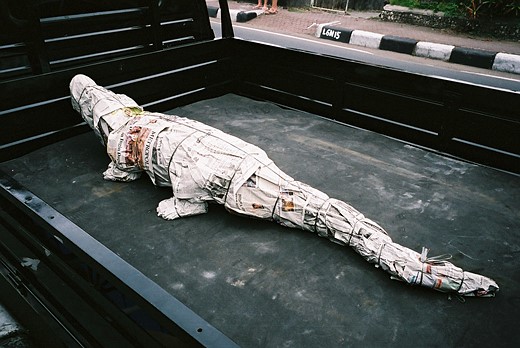 ricoh-gr-photo-festival-2024-16