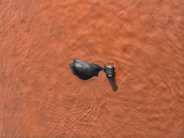 skypixel-ab-gusai-mud-bath-bliss