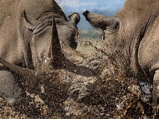 2024 Kenya-183A4270-2