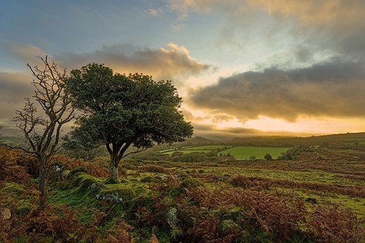 3 Emsworthy Rocks  Dartmoor