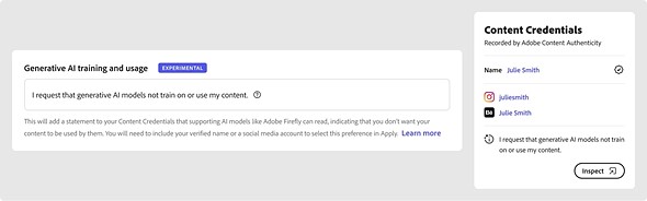 Adobe Generative AI Request screen