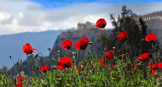 Athens in full spring