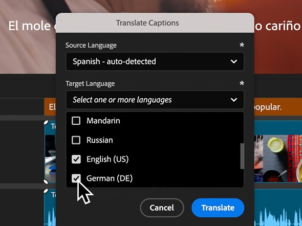 Caption Translation  2