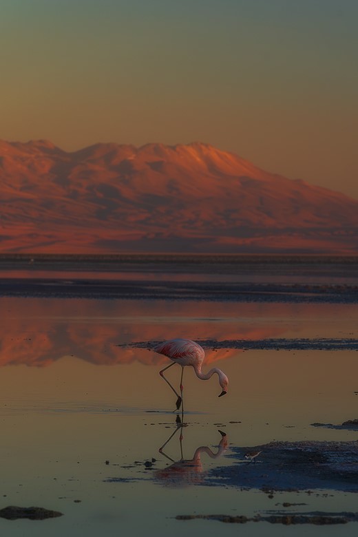 DSC09737-Enhanced-NR-Edit