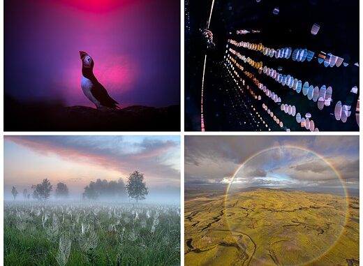 GDT_Nature_Photographer_of_the_Year_2025