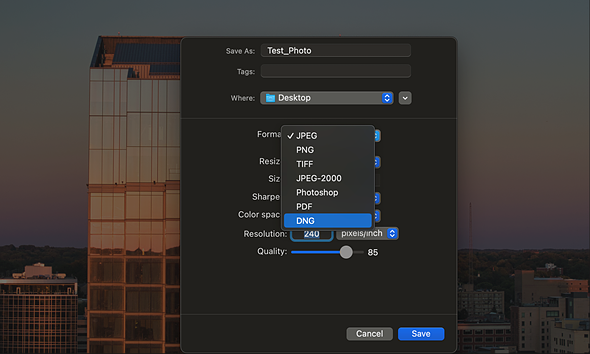 Luminar Neo Export Menu DNG
