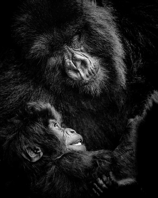 Rwanda-travel-KPF 1827-bewerkt