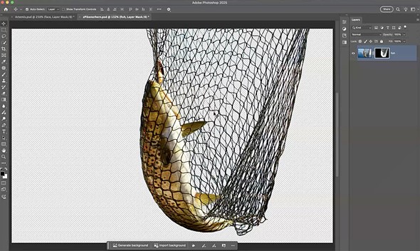adobe-select-background