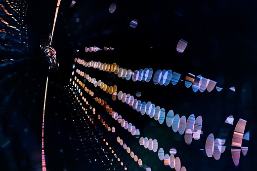 k3 3 thomas kirchen disco araneus