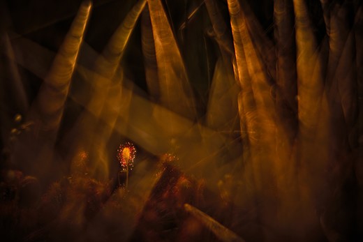 k4 2 klaus tamm fleischfresser