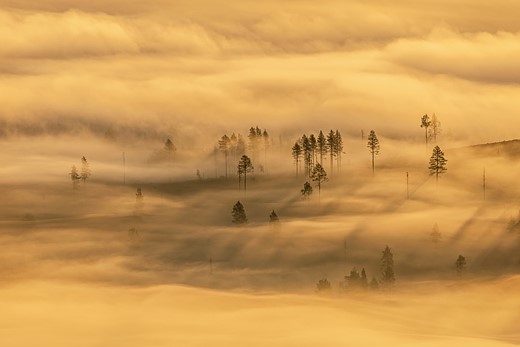 k5 1 hanneke van camp deforestation