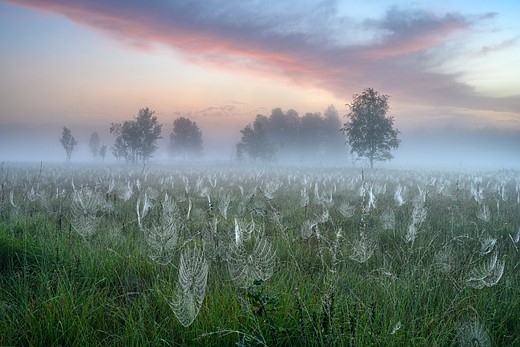 k7 1 andreas volz misty morning