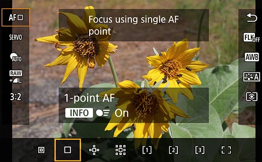 Autofocus menu
