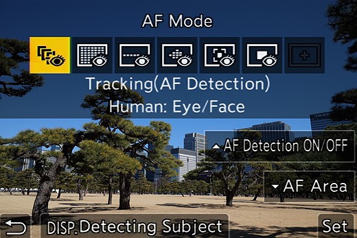 S1IIE AF Menu composite