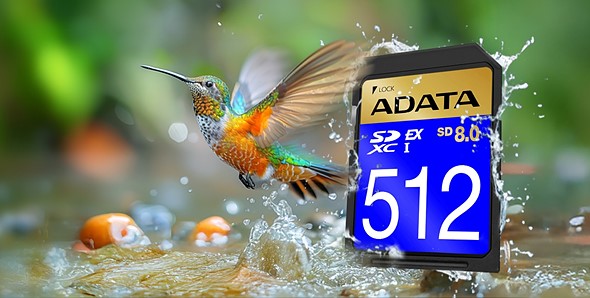 adata sd ex 8 card with hummingbird
