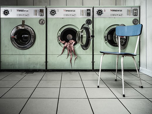 an octopus climbs out of washer in laundromat