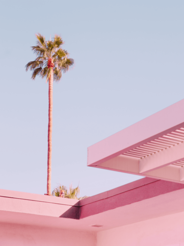 A tall palm tree rises behind a pastel pink building under a clear sky, capturing minimalism through clean lines and soft colors.