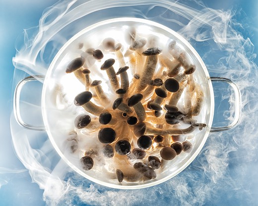 smoke swirls around mushrooms on blue background