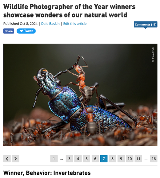 DPReview s article announcing the winners of the Wildlife Photographer of the Year contest
