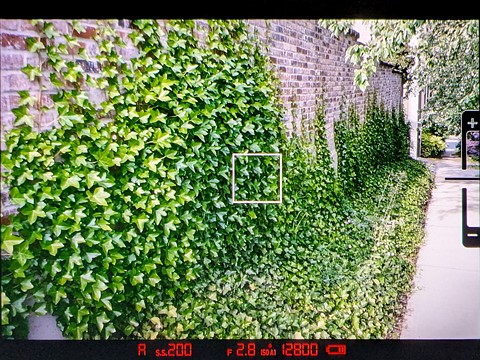 Fujifilm X-E5 classic viewfinder EVF mode