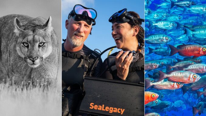 nicklen-mittermeier-featured