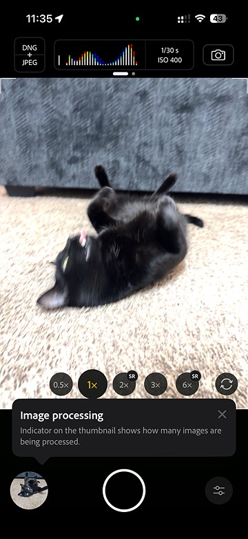 screenshot of indigo app processing