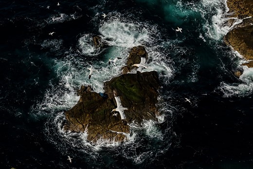 sea birds fly over rocky ocean terrain