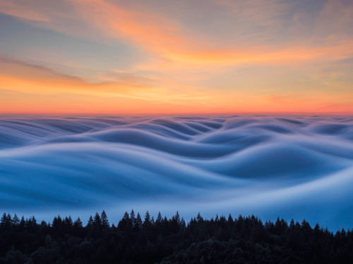 A surreal view of rolling fog waves over a forest at sunrise, showcasing the beauty of atmospheric photography.