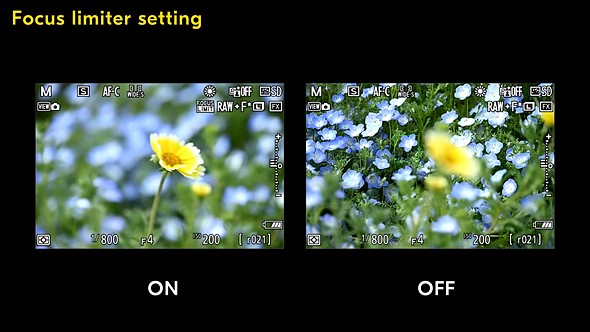 two live view screens with flowers on black background