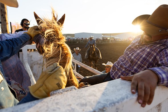 A rodeo rider struggles to stay on a bucking bronco