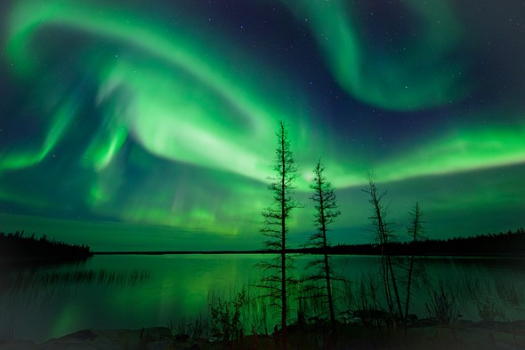 The northern lights illuminate the sky in the sub-arctic