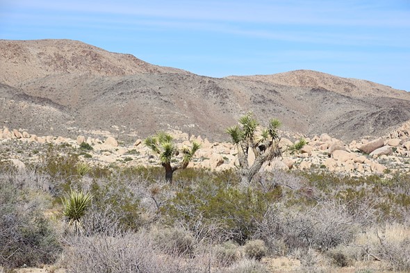a desert landscape with low mountains in the background